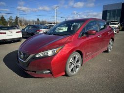 Nissan Leaf 2019