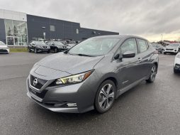 Nissan Leaf 2019