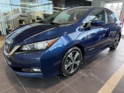 Nissan Leaf 2019