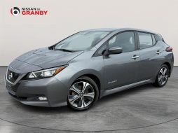 Nissan Leaf 2019