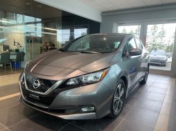 Nissan Leaf 2019