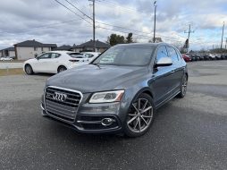 Audi SQ5 2017