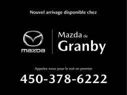 Dodge Grand Caravan 2017