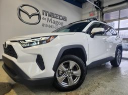 Toyota RAV4 2024