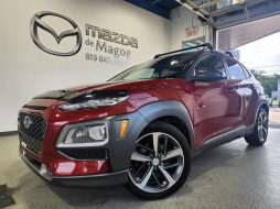 Hyundai Kona 2019