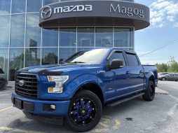 Ford F150 2017