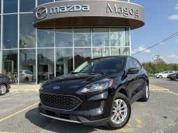Ford Escape 2022