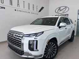 Hyundai Palisade 2024