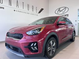 Kia Niro 2020