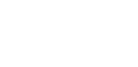 Logo genesis big retina