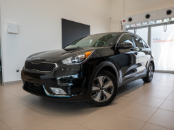 Kia Niro 2019