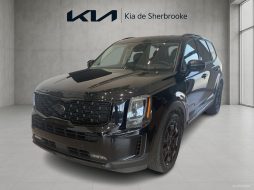 Kia Telluride 2021