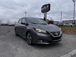 Nissan Leaf 2019