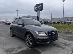 Audi SQ5 2016