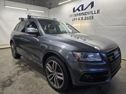 Audi SQ5 2016