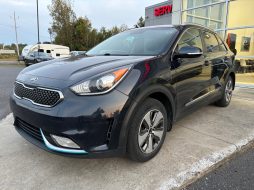 Kia Niro 2019