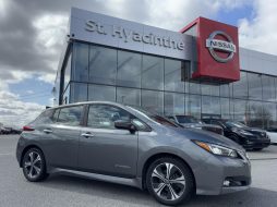 Nissan Leaf 2019