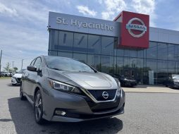 Nissan Leaf 2019